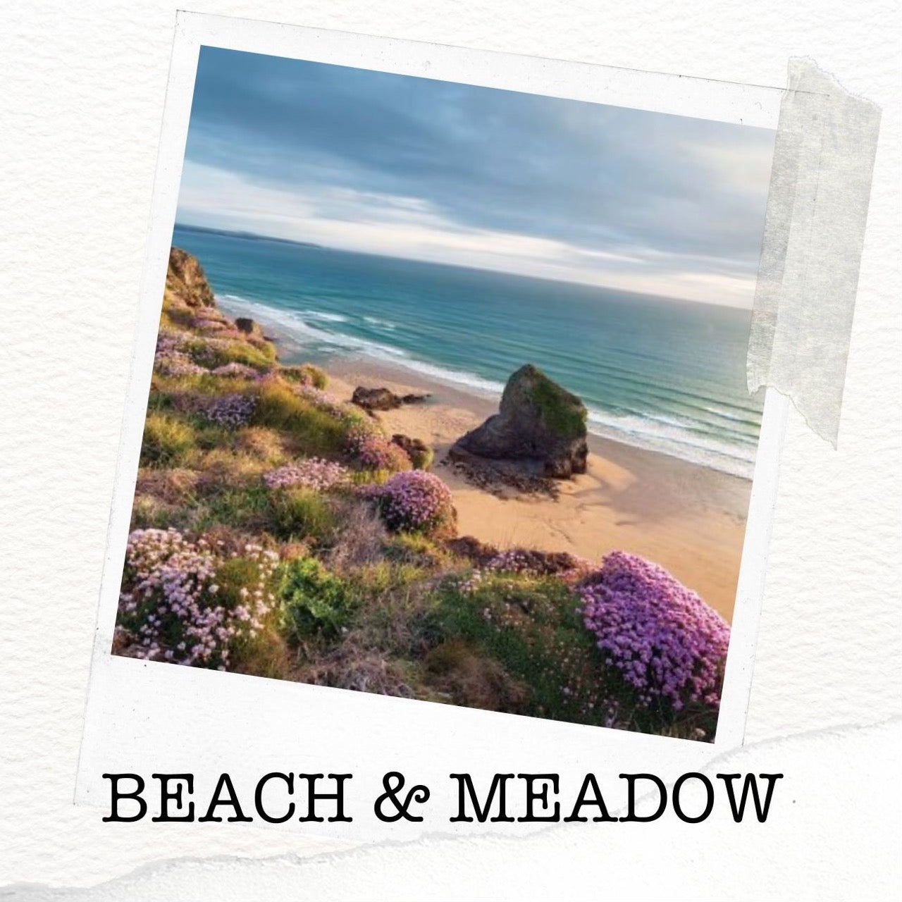Beach & Meadow