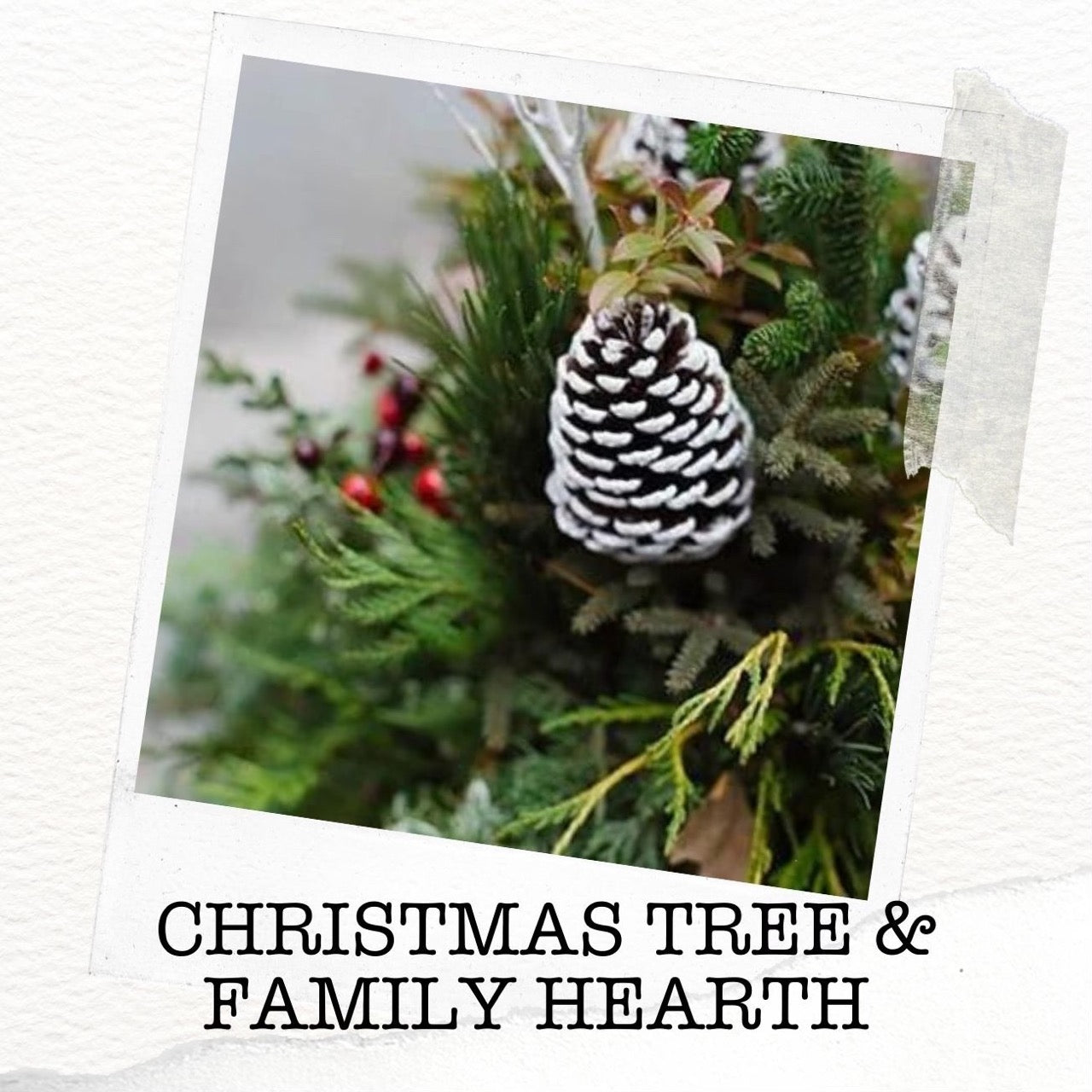 Christmas Tree & Family Hearth