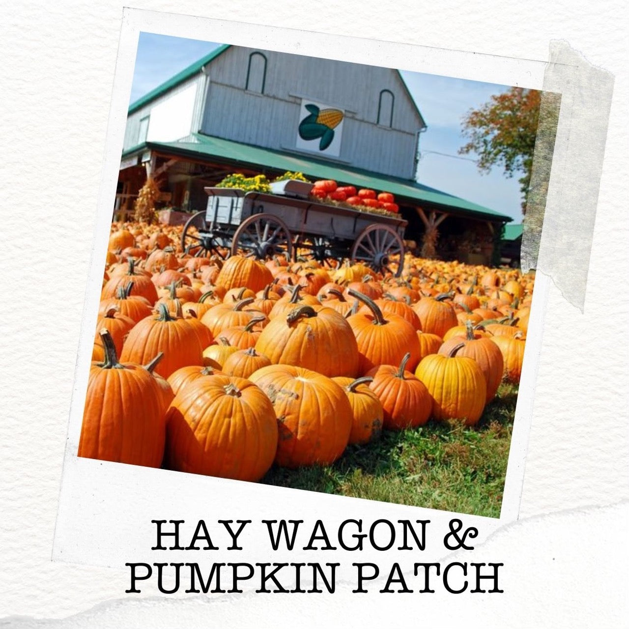 Hay Wagon & Pumpkin Patch