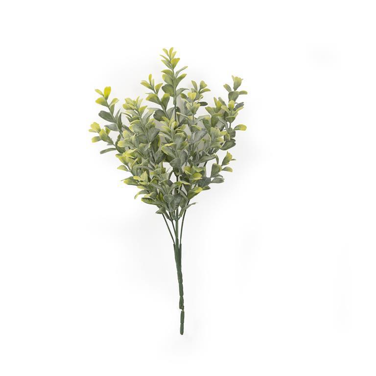 Stone Dust Boxwood Short Pick - 14"H