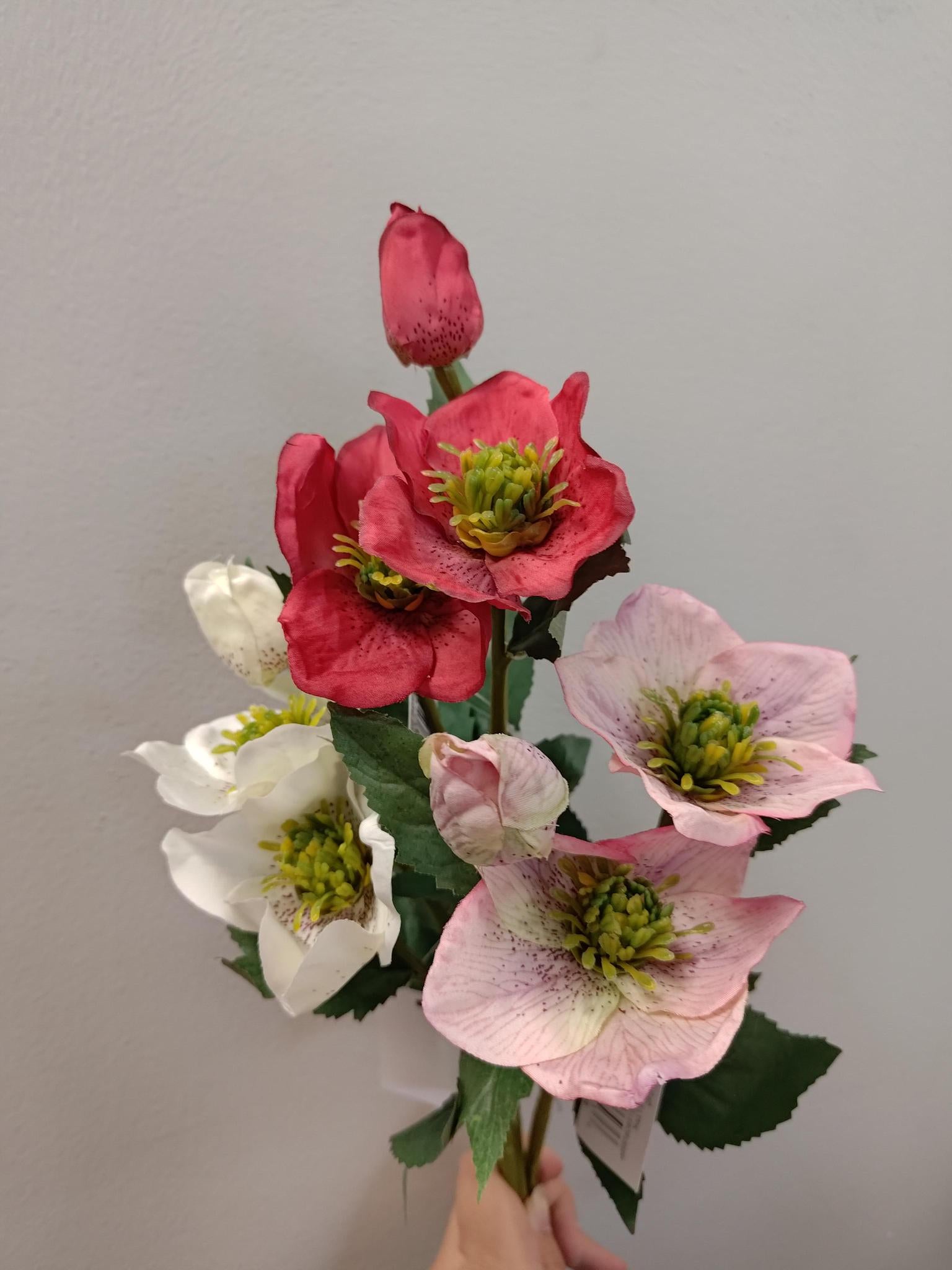 Hellebores Pick - 16"H