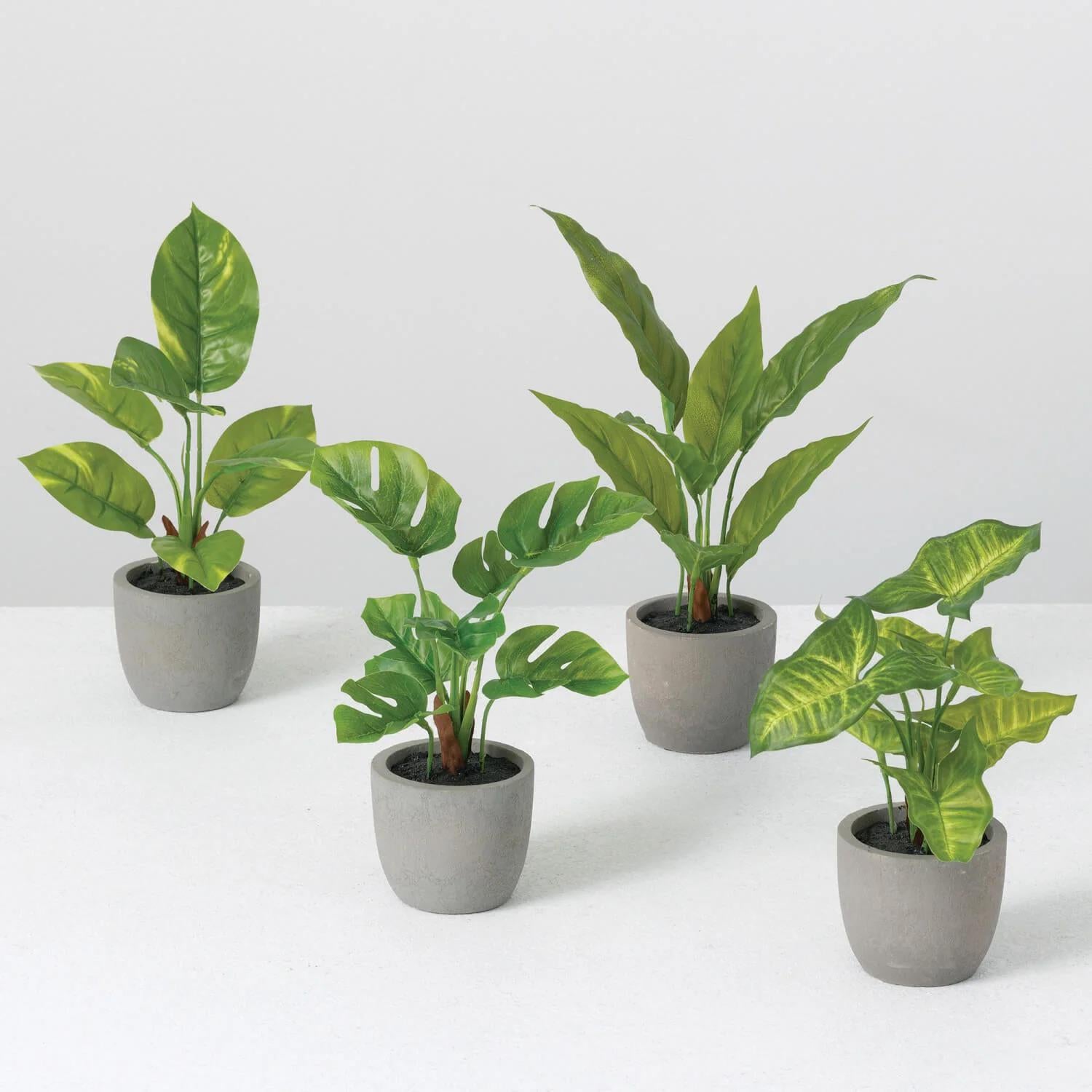 Philodendron Faux Potted Plant