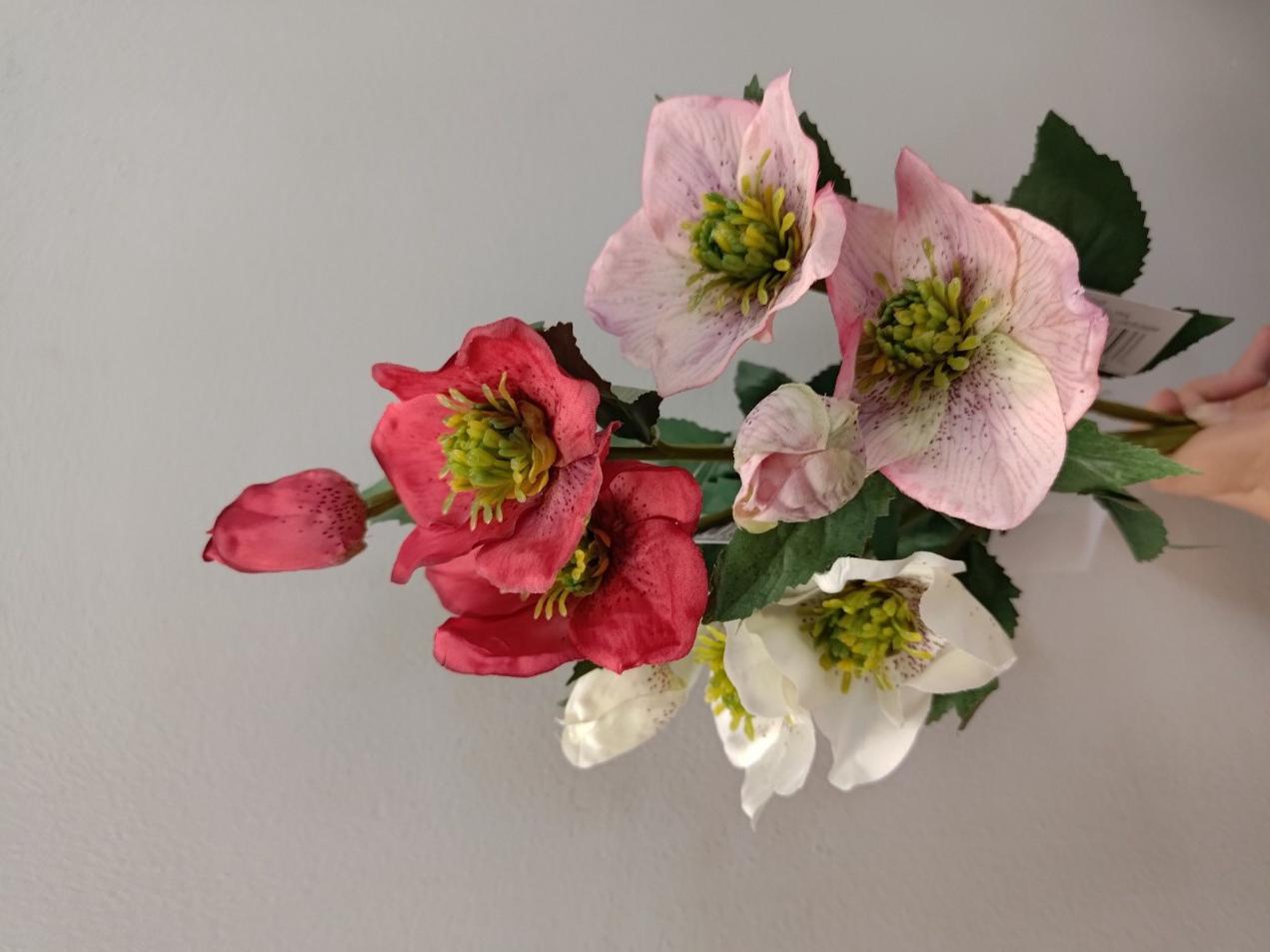 Hellebores Pick - 16"H