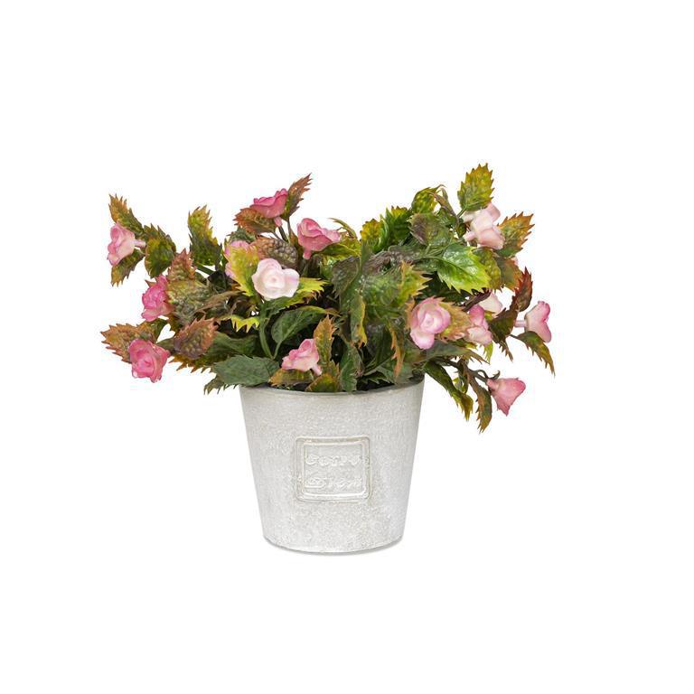 Round Pink Blooms With Light Gray Pot - 7"Di